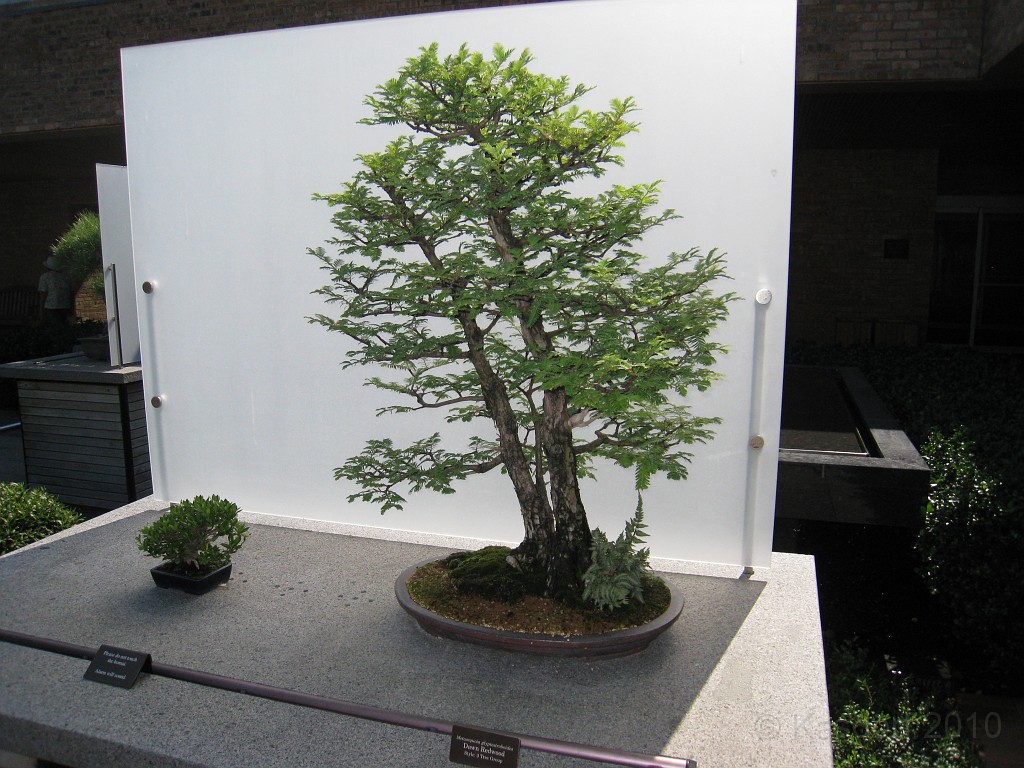 Botanical Gardens 2010 0465.jpg - The Chicago Botanic Gardens. Wear comfortable shoes, and be prepared to enjoy the landscape for a day.